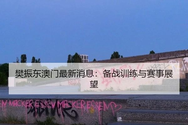 樊振东澳门最新消息：备战训练与赛事展望